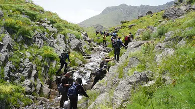 20 günlük ömrü olan çiçeği görmek için Mardin'den gelip, dağda 7 kilometre yürüdüler