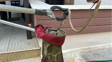 Bolu'da bahçede yakalanan yılan doğaya salındı 