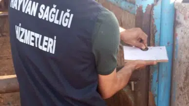 Et entegre tesisinde kesime hazırlanan büyükbaşa eziyet kamerada; 5 tutuklama (3)