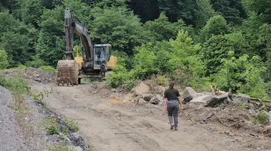 Evine giderken 1183 yaşındaki porsuk ağacının 'kaçak' kesildiğini ortaya çıkardı