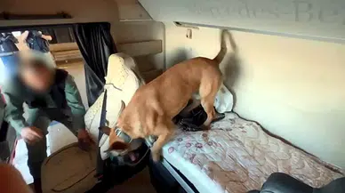 TIR'da 'Carlos' ile aramada 50 bin uyuşturucu hap bulundu