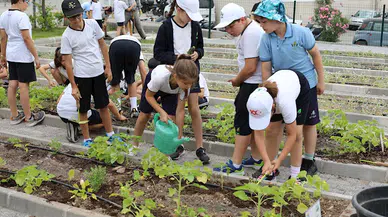 Minik çiftçiler hasata başladı