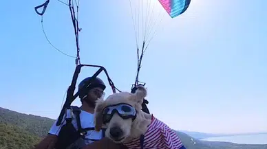 4 yıldır sahiplendiği 'Badem' adlı köpeğiyle uçuyor