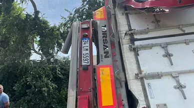 Bursa'da kamyonun çarptığı TIR, yol kenarındaki çalılığa devrildi