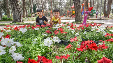 Kepez'e sevgi çiçekleri