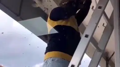 Apartmanda yuva yapan arılar, kutuyla alırken üzerine düştü; o anlar kamerada