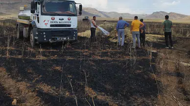 Mardin'de 120 dönüm buğday tarlası yandı