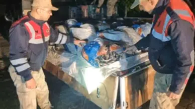 Van'da 10 ton inci kefali ele geçirildi