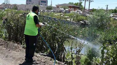 Balıkesir Büyükşehir Belediyesi, haşereyle mücadeleyi sürdürüyor