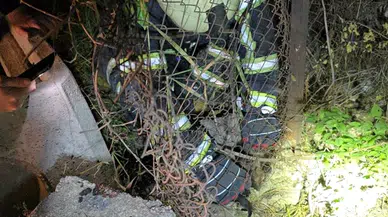 Karabük'te tel örgüye sıkışan sansar yavrusu itfaiye ekiplerince kurtarıldı