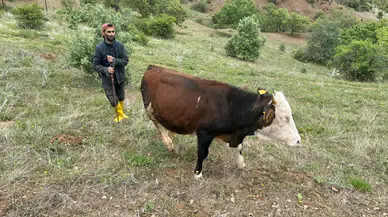 Devlet desteğiyle başladığı hayvancılığı 16 yıldır sürdürüyor