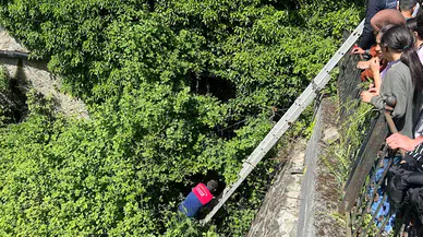 Zonguldak'ta çalılık alana düşen 7 köpek yavrusu kurtarıldı