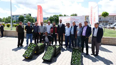 Bingöl’de çiftçilere 390 bin sebze fidesi dağıtıldı