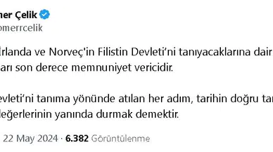 AK Parti'li Çelik: 3 ülkenin Filistin'i tanıma kararı son derece memnuniyet verici