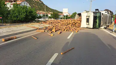 Odun yüklü TIR devrildi