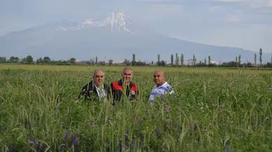 Tuz Gölü Havzası'ndaki çiftçiler, 4'lü karışımla 120 milyon ton su tasarrufu sağlayacak