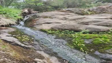 Korhan Berzeg'in kemikleri, toprağa verilmek üzere Gönen'e getirildi