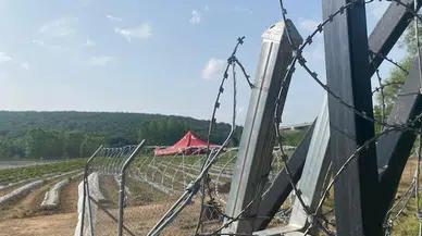 İzmit Belediyesi'nin hasadını yapıp, gelirini kız öğrencilere bağışlayacağı çilekler çalındı