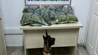 10 kilo uyuşturucuyu narkotik köpeği 'Aysar' buldu 