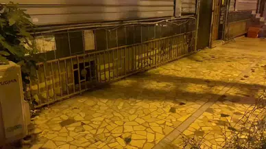 İstanbul - Sultangazi'de iş yerine pimi çekilmemiş el bombası atıldı 