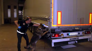 Kapıkule'de TIR'da 370 kilo esrar ele geçirildi