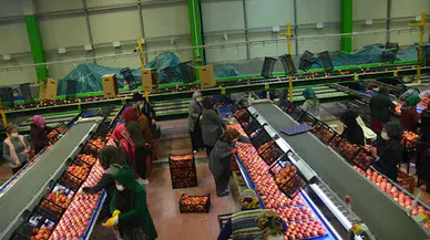 Niğde'de Kırsal Kalkınma Destekleri kapsamında 573 proje onaylandı