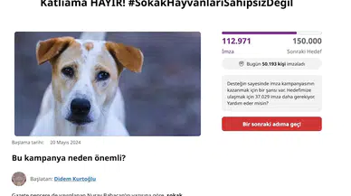 Sokak hayvanları için iki günde 100 binin üzerinde imza toplandı