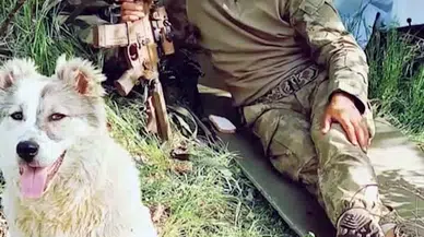 Iğdır'a şehit ateşi düştü