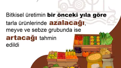 TÜİK: 2024'te tahıl üretiminde azalış, sebze ve meyve üretiminde artış öngörüldü