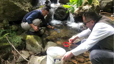 Trabzon'da 10 bin kırmızı benekli alabalık yavrusu derelere bırakıldı