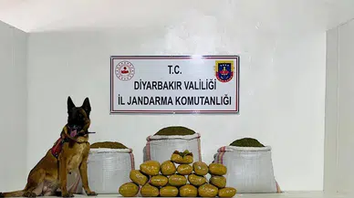 Diyarbakır’da 76 kilo esrar ele geçirildi