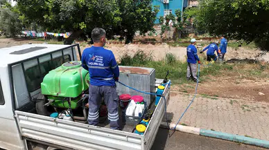 Büyükşehir sinek ve haşere ile mücadeleyi aralıksız sürdürüyor