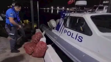 Samsun'da kaçak salyangoz avcılığı yapan kişiye 66 bin 114 lira ceza kesildi