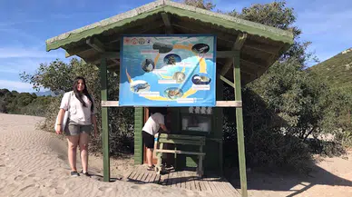 Patara'da caretta yuva rekoru