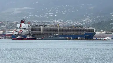 İskenderun Limanı'na gemiyle 27 bin angus geldi