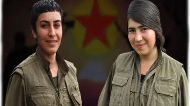 MİT'ten, eylem notlarını taşıyan 2 teröriste nokta operasyon 