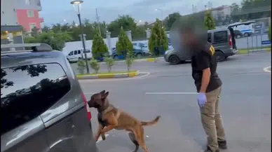 Batman'da 2 araçtaki 93 kilo 216 gram uyuşturucuyu 'Dead' buldu