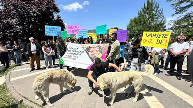 Tunceli’de 'sokak hayvanları uyutulmasın' eylemi