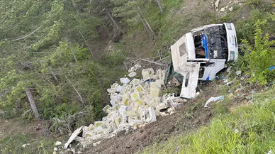 Göynük'te uçuruma devrilen kamyonun sürücüsü yaralandı