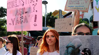 Sokak hayvanlarına yasal düzenlemeye tepki