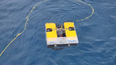 ANTALYA Su altının gözcüleri (VİDEO EKLENDİ) 