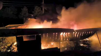 Diyarbakır'da yıldırım düşen depo yandı; 20 milyon TL'lik zarar oluştu