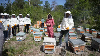 "Arıları Yaşat, Geleceğini Kazan Projesi" ile gençler meslek sahibi olacak