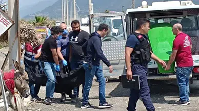 Temizlik yaparken kumsalda kadın cesedi buldular