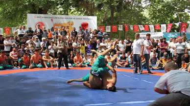 Karacaoğlan Kayısı Kültür ve Sanat Festivali sona erdi