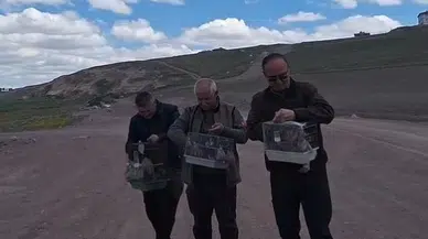 İş yerlerinde beslenen 22 saka kuşu, doğaya bırakıldı