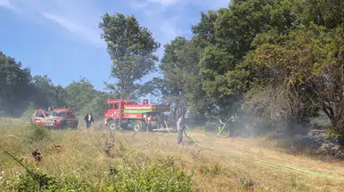 Çanakkale'de tarım arazisinde yangın