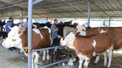Sandıklı hayvan pazarında bayram yoğunluğu