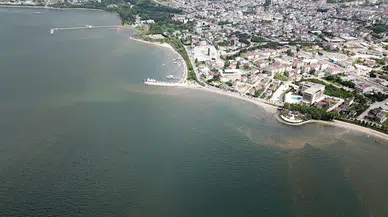 İzmit Körfezi'nde denizin rengi kahverengiye döndü
