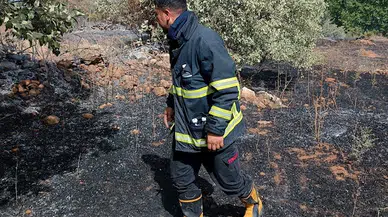 Nusaybin’de bahçede çıkan yangın, ormana sıçradı